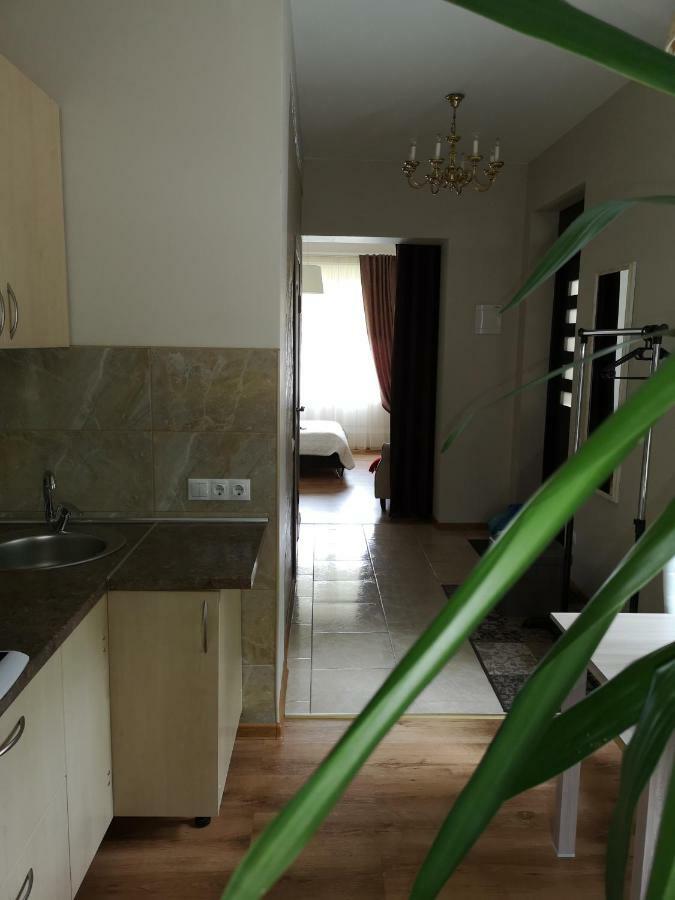 Apartament Jaukus Butas Siauliu Miesto Centre Szawle Zewnętrze zdjęcie