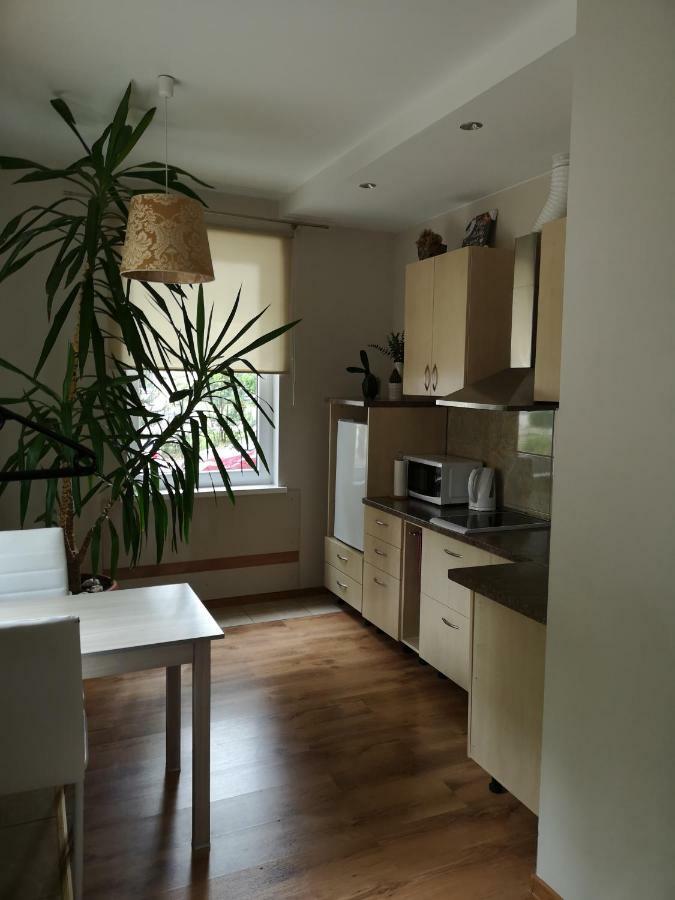 Apartament Jaukus Butas Siauliu Miesto Centre Szawle Zewnętrze zdjęcie